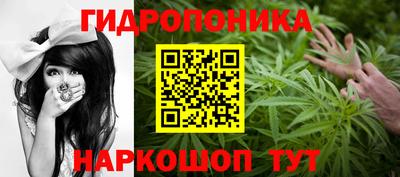 спиды Боровичи