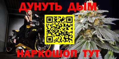 спиды Боровичи