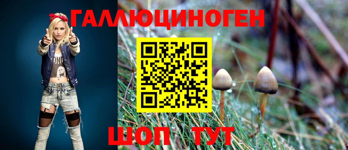Псилоцибиновые грибы мицелий  Вход с VPN  Белогорск  Галлюциногенные грибы Magic Shrooms 